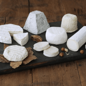 Goat Cheese