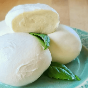 Mozzarella Cheese